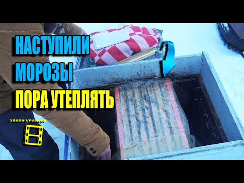 Видео: РАЗУМНОЕ УТЕПЛЕНИЕ ПЧЕЛ ПРИ НАЧАЛЕ МОРОЗОВ. ЗИМОВКА ПЧЕЛ НА УЛИЦЕ. ДЛЯ НАЧИНАЮЩИХ ПЧЕЛОВОДОВ 22-45