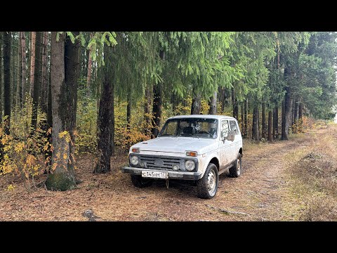 Видео: Нива 21213 Замена сальников, крестовин кардана, рулевых тяг