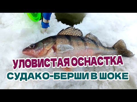 Видео: Уловистая оснастка на берша, судака. Ловля берша на тюльку. Зимняя ловля судака, берша