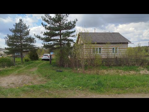 Видео: КИРПИЧ Уй 25 сотих деревня Отрадное Новосокольнический р-н