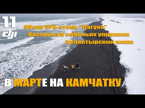 Видео: Камчатка в марте. Обзор  SPA-отеля "Лагуна", Халактырка и катание на собачьих упряжках.