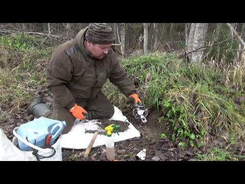 Видео: За красным зверем | Лисица | 2021