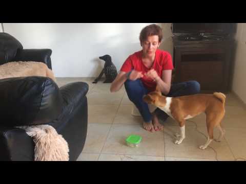 Видео: Отучаем от подбора, урок 6