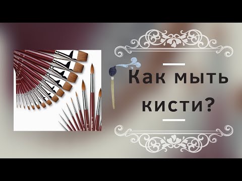 Видео: Как мыть кисти?
