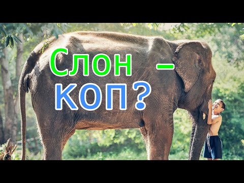 Видео: В Таиланд  потянулись туристы со всего мира и Сибири #1