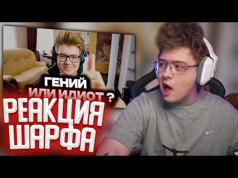 Видео: ШАРФ СМОТРИТ: ШАРФ ГЕНИЙ или ИДИОТ ?
