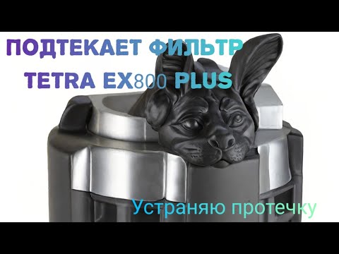 Видео: Потек фильтр Tetra EX800 PLUS #Устраняю протечку аквариумного фильтра
