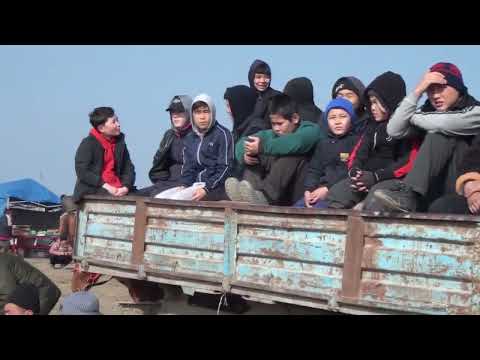 Видео: 01.02.2025. көкпар. 1989 жылғы жігіттердің елден бата алу көкпары