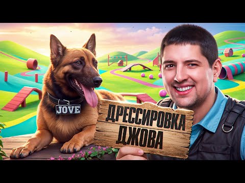 Видео: ДРЕССИРОВКА ДЖОВА К ТУРНИРУ. Левша Кинолог