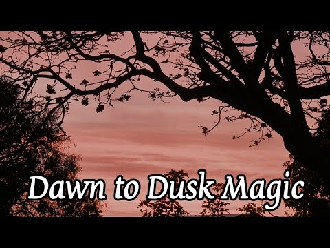 Видео: От первых лучей до последних лучей: жизнь в южноафриканском пригороде