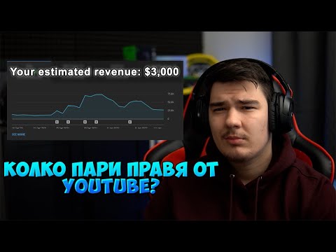 Видео: КОЛКО ПАРИ ПРАВЯ ОТ YOUTUBE?