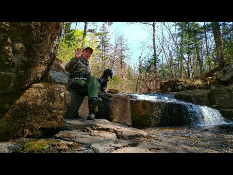 Видео: ШКОТОВСКИЕ ВОДОПАДЫ Водопад НЕОЖИДАННЫЙ ГОРБАТЫЙ. Мегалиты древней цивилизации.