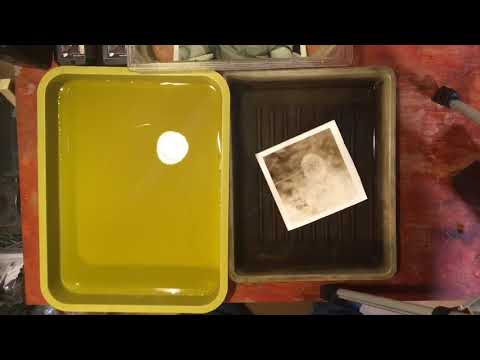 Видео: Сепия в оптических фотографиях  #когдарысимолчат