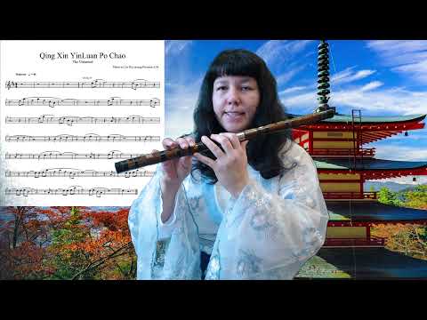 Видео: Разбор темы Luan Po Chao (OST The Untamed) на dizi