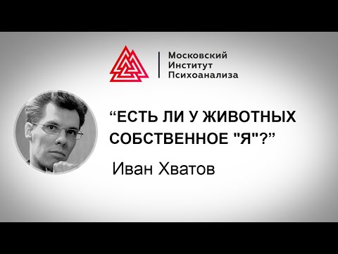 Видео: Лекция Ивана Хватова "Есть ли у животных собственное "я"?"