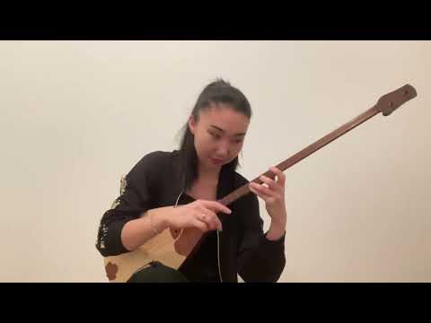 Видео: Қаршыға Ахмедияров «Алтын ұя»