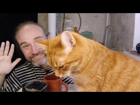 Видео: Чай с Рыжулей. Назвать это мукбангом, обжором и едой на камеру язык не поворачивается. Шизофрения.