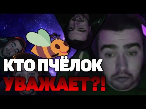 Видео: Стрей 12 МИНУТ УВАЖАЕТ ПЧЁЛОК\ Нарезка, Stray228 слушает песню "кто пчёлок уважает?"\ Пчёлки и стрей