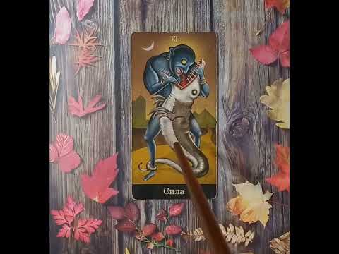 Видео: Для начинающих. Таро безумной луны. Старший аркан Сила.