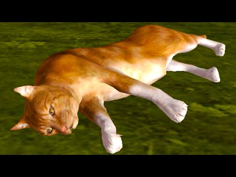Видео: Симулятор КОШЕК #1 Рыжий котик против злых котов в Ultimate Cat Simulator с Кидом на пурумчата