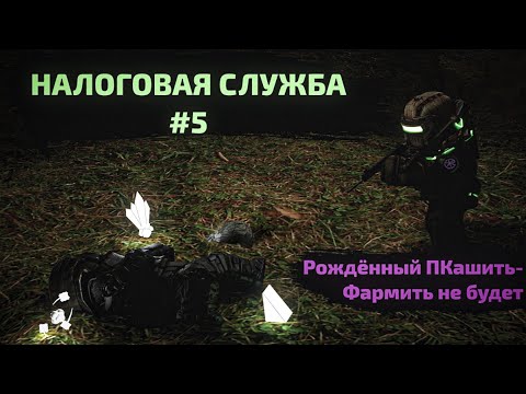 Видео: Налоговая служба "Завета" #5 | +Розыгрыш 500к | STALCRAFT