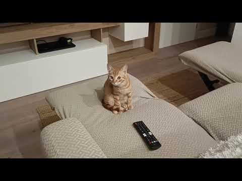 Видео: 6 ноября 2025 г.,лишь бы деньги потратить