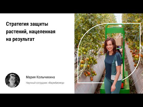Видео: 🏃‍♀️ Стратегия защиты тепличных растений, нацеленная на результат. Патогены светокультуры, препараты
