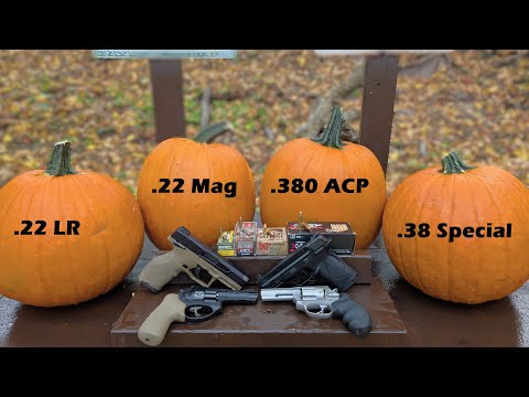 Видео: 🎃 Тест на уничтожение тыкв! Более слабые калибры: .22 LR против .22 WMR против .380 ACP против .3...