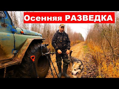 Видео: Осенний металлокоп и рыбалка с сыном в тайге. Готовим металл к вывозке. Тонны рельс повсюду.