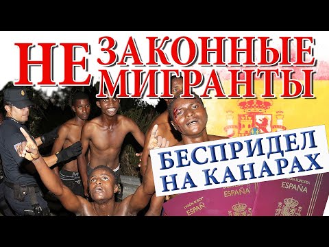 Видео: Что творят африканские беженцы на Канарских островах | Последние новости про Жизнь в Испании