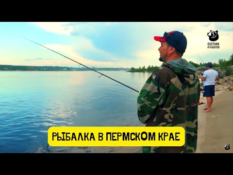 Видео: Пермские судачки // Рыбалка в Пермском крае / Выпуск 5