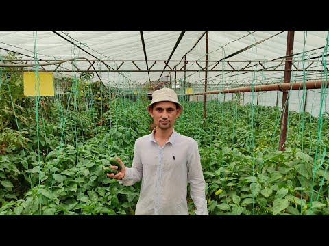 Видео: Бодринг эксак ҳам қисматимиз ўзгармасди