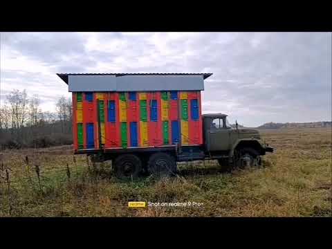 Видео: октябрь. едем на зимовку