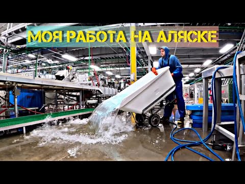 Видео: Работа на АЛЯСКЕ  | РЫБНЫЙ ЗАВОД 🏭 | Закрытие летнего сезона