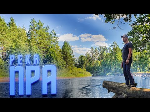 Видео: ИДЕАЛЬНОЕ МЕСТО ДЛЯ ОТДЫХА.  река Пра