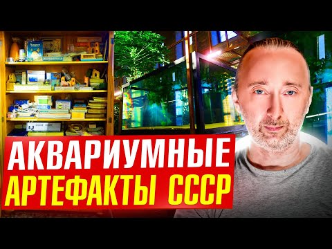 Видео: Аквариумистика СССР: РАРИТЕТЫ и забытые технологии.