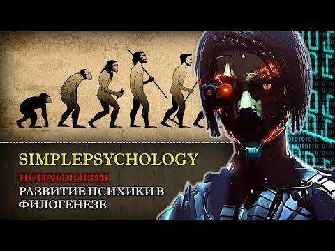 Видео: Психология. Развитие психики в филогенезе.