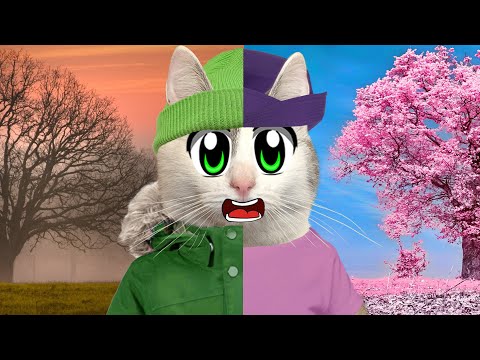 Видео: ШКОЛА КОТОВ: ПОСЛЕДНИЙ УРОК про ВЕСНУ! КОШКА МУРКА и КОТ МАЛЫШ ВЫРОСЛИ! ЧТО БУДЕТ ДАЛЬШЕ? 24 ЧАСА