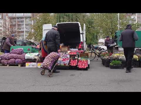 Видео: Бобруйск: в центре города работает сельхозярмарка