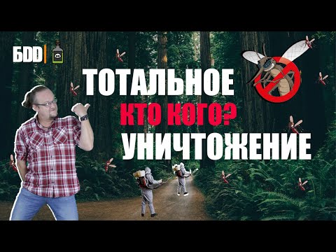 Видео: Как избавиться от комаров. Проверенные способы.