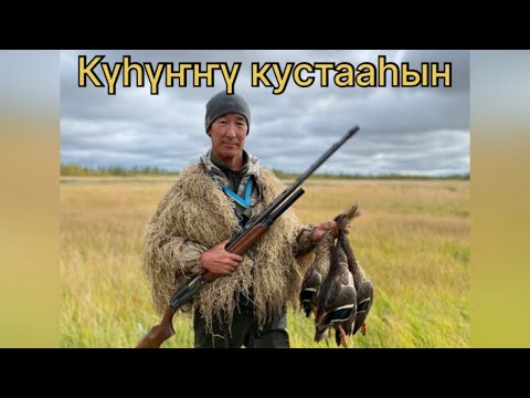 Видео: Күһүҥҥү кус 2023