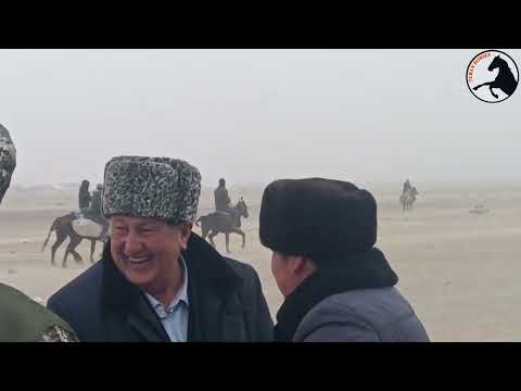 Видео: 17-02-2024 Бәйге Алым көк 100 жаста