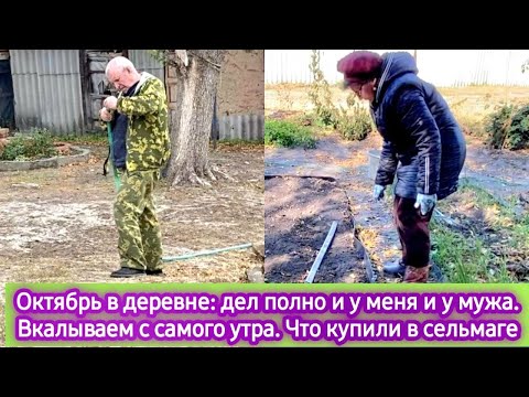 Видео: Октябрь в деревне: дел полно и у меня и у мужа. Вкалываем с самого утра. Что купили в сельмаге