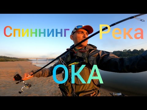 Видео: Рыбалка на Спиннинг / Река ОКА. Поиск Жереха. Вода упала рыбка мигрирует. #NEKFiSh