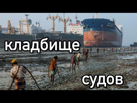 Видео: Как рождаются и умирают суда