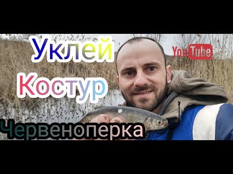 Видео: Риболов на уклей,червеноперка, костур на плувка. Рыбалка на уклейку, красноперка,окунь на поплавок.