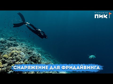 Видео: Выбор снаряжения для фридайвинга