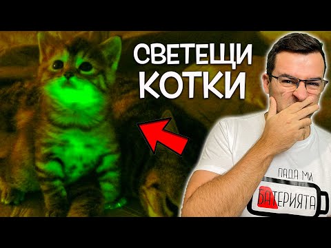 Видео: 10 от НАЙ-СТРАННИТЕ експеримента с ПРИРОДАТА