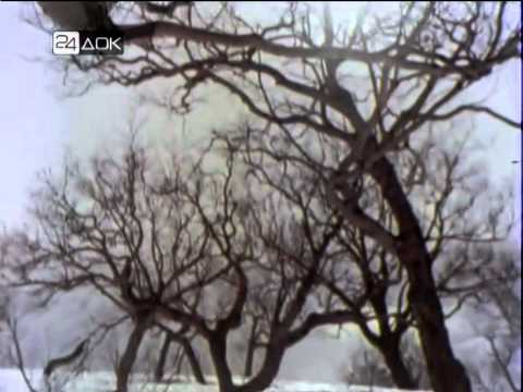 Видео: 10 минут по СССР. На камчатском меридиане. 1969