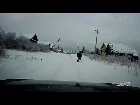 Видео: Юркино, январь 2025.